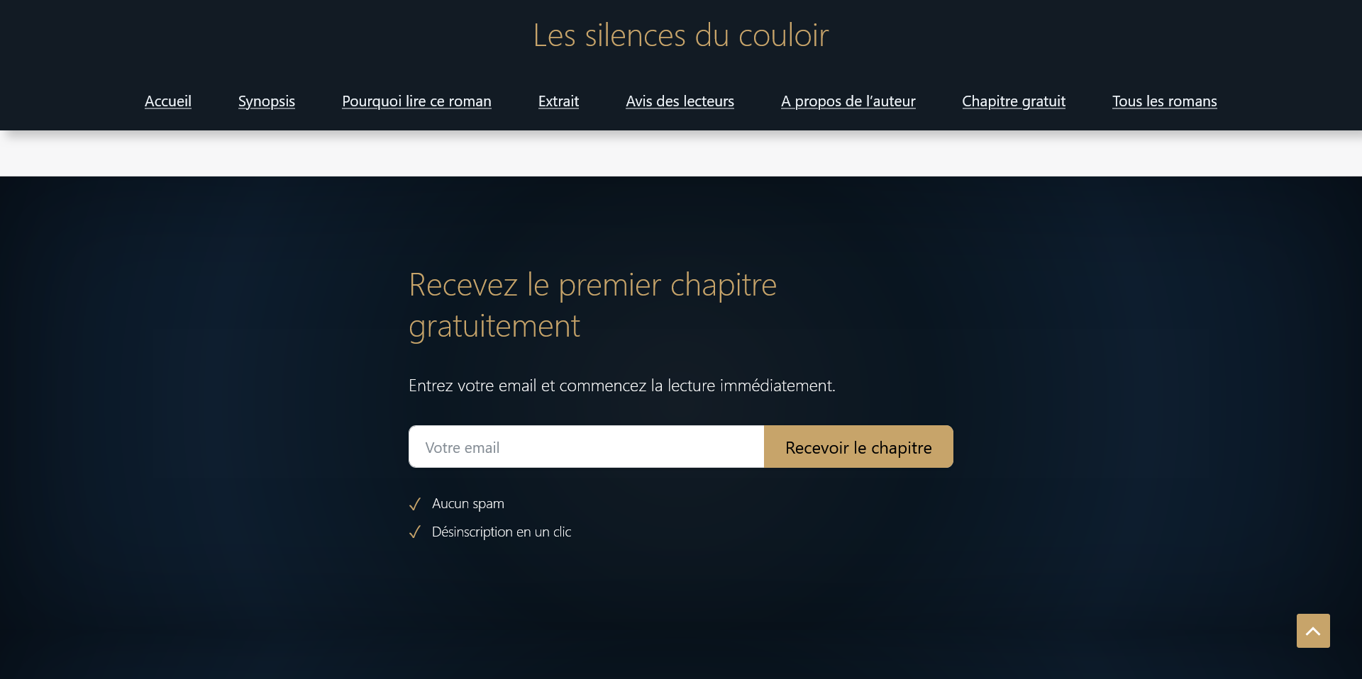 Exemple de capture email